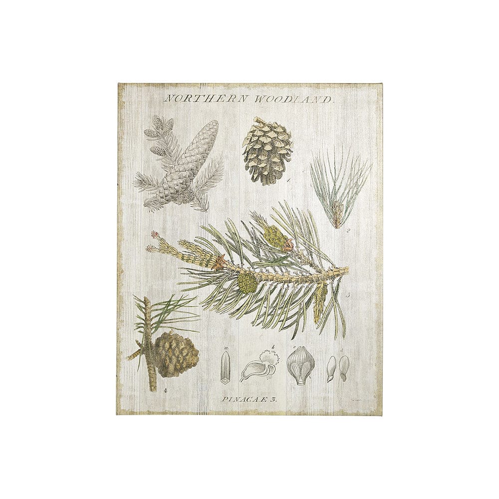 Mercana - Woodland Chart III by Sue Schlabach a Hand Embellished Textured Canvas - 101579-S view 1