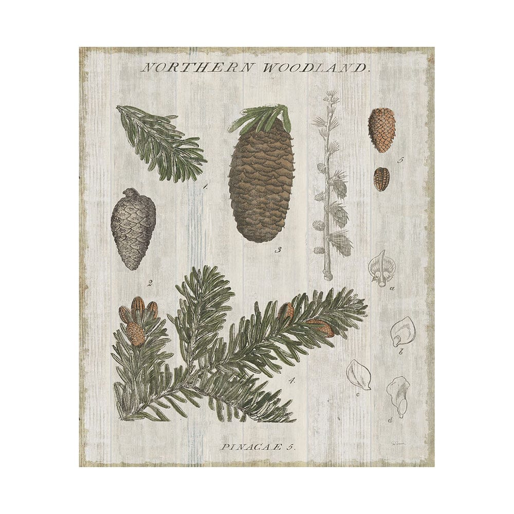 Mercana - Woodland Chart IV by Sue Schlabach a Hand Embellished Textured Canvas - 101580-L view 1