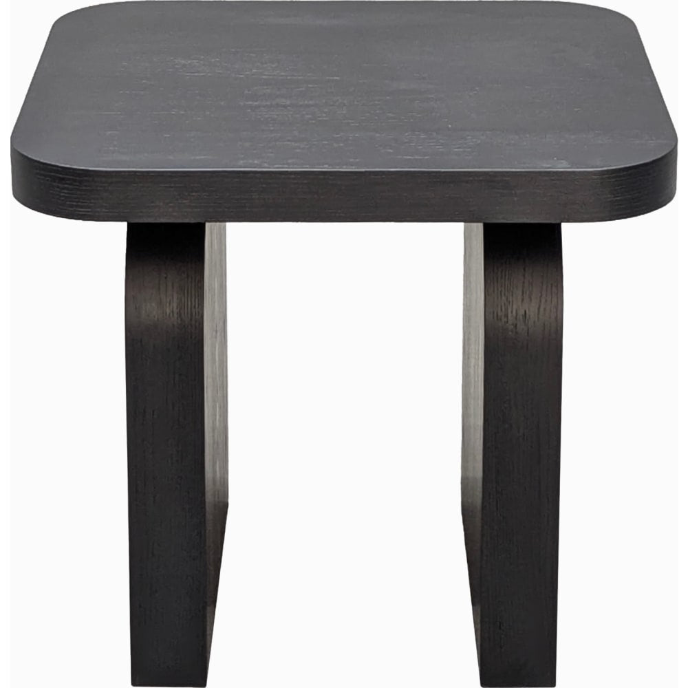 Modus Furniture - Elora Square End Table - Jet - PRKS22 view 7