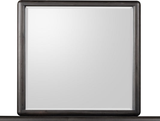 Modus Furniture - Xolani Beveled Glass Wall or Dresser Mirror in Jaguar - TTXT83 view 2