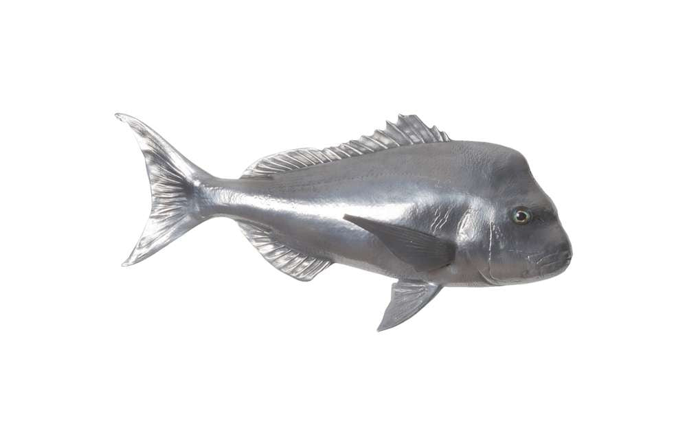 Phillips Collection - Australian Snapper Fish Wall Sculpture, Resin, Polished Aluminum Finish - PH64556 veiw 1