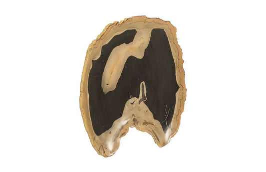 Phillips Collection - Cast Petrified Wood Wall Tile, Resin, Thin - PH92564 veiw 2