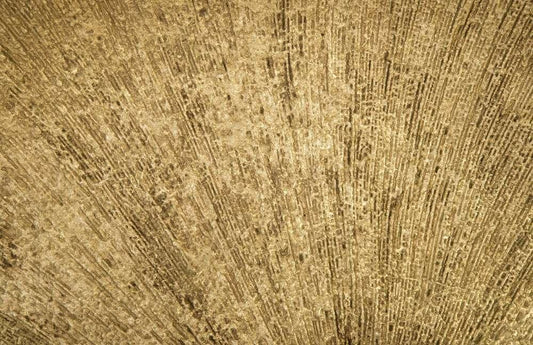 Phillips Collection - Convergence Mirror, Resin, Gold Leaf - PH97018 veiw 2