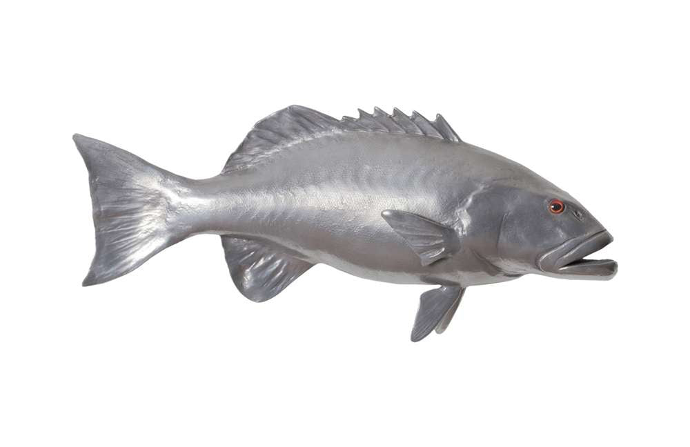 Phillips Collection - Coral Trout Fish Wall Sculpture, Resin, Polished Aluminum Finish - PH64544 veiw 1