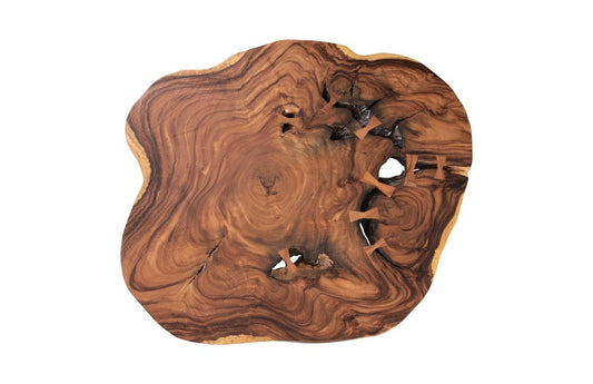 Phillips Collection - Floating Coffee Table with Acrylic Legs, Natural, Assorted - TH103469 view 2
