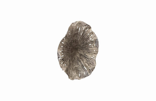 Phillips Collection - Lotus Wall Art, Silver/Black, SM - TH96159 view 2