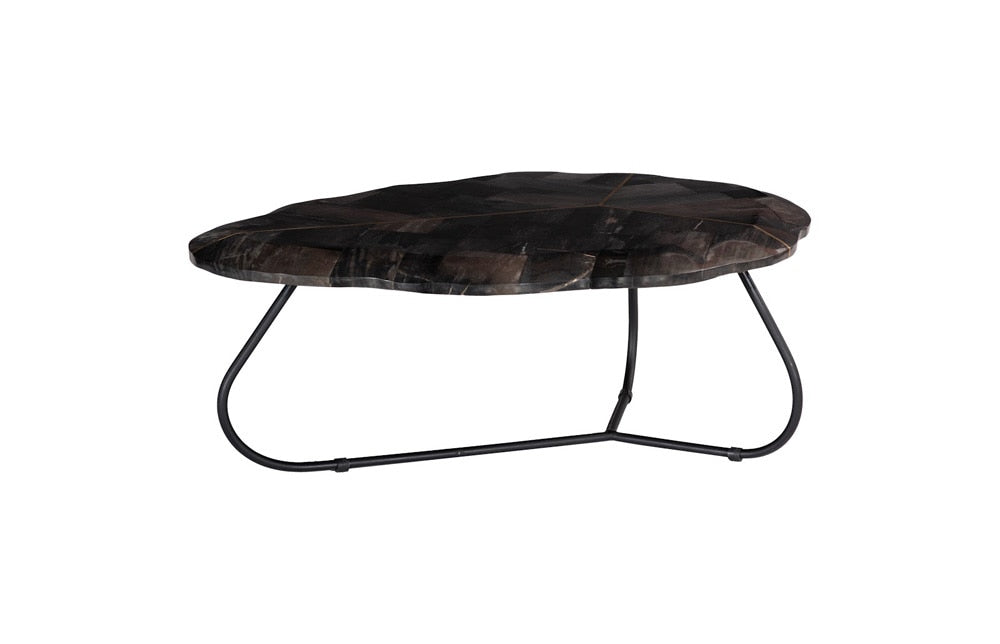 Phillips Collection - Mosaic Leaf Petrified Wood Coffee Table, Large - ID116041 veiw 1