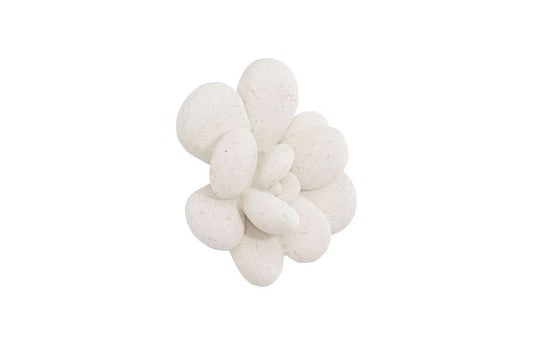 Phillips Collection - Oviferum Succulent Wall Art , White Stone - PH104154 veiw 2