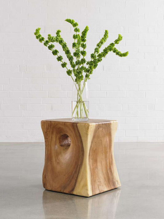 Phillips Collection - Peek a Boo Side Table, Natural - TH63334 veiw 2