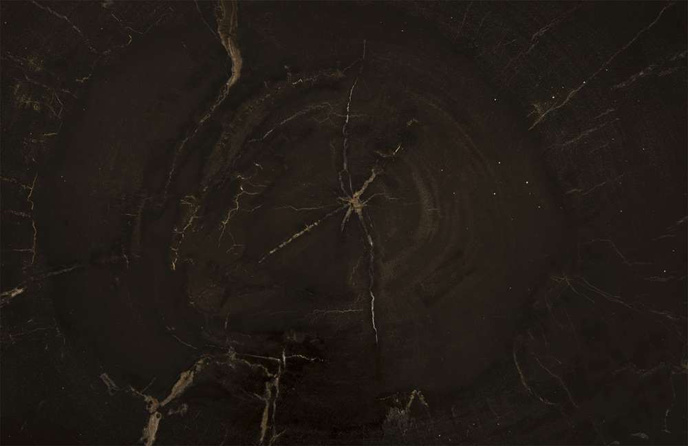 Phillips Collection - Petrified Wood Coffee Table, SS Legs, Assorted - ID85629 veiw 3