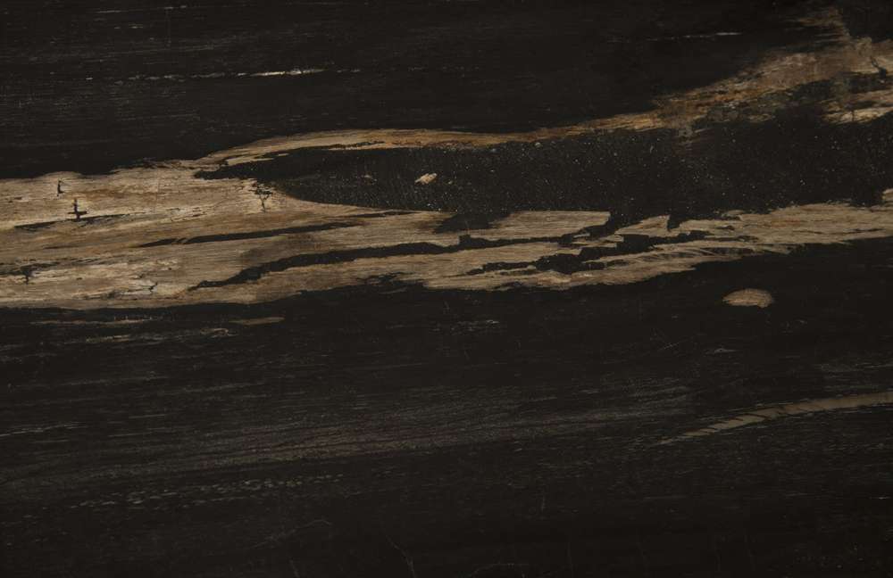 Phillips Collection - Petrified Wood Side Table, Laminated - ID93095 veiw 3