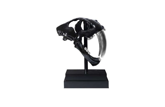 Phillips Collection - Saber Tooth Tiger Skull, Black - PH56705 veiw 2