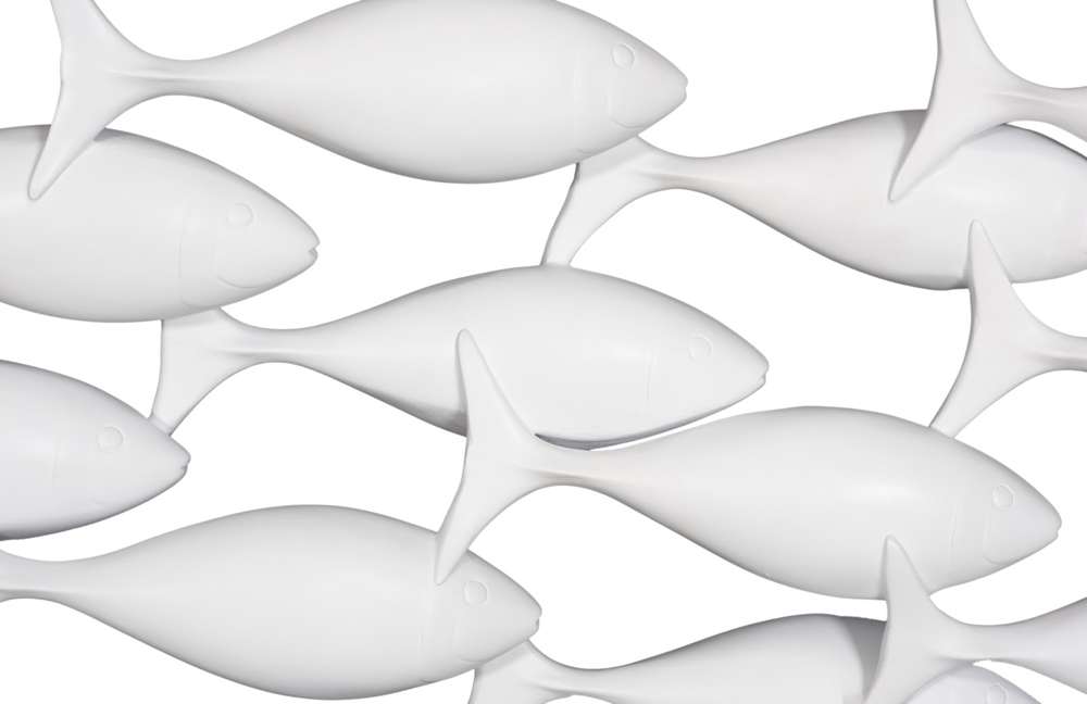 Phillips Collection - School of Fish Wall Art, Matte White - PH110577 veiw 4