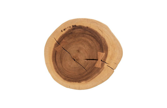 Phillips Collection - Stump Stool, Natural, Assorted - TH69603 view 2