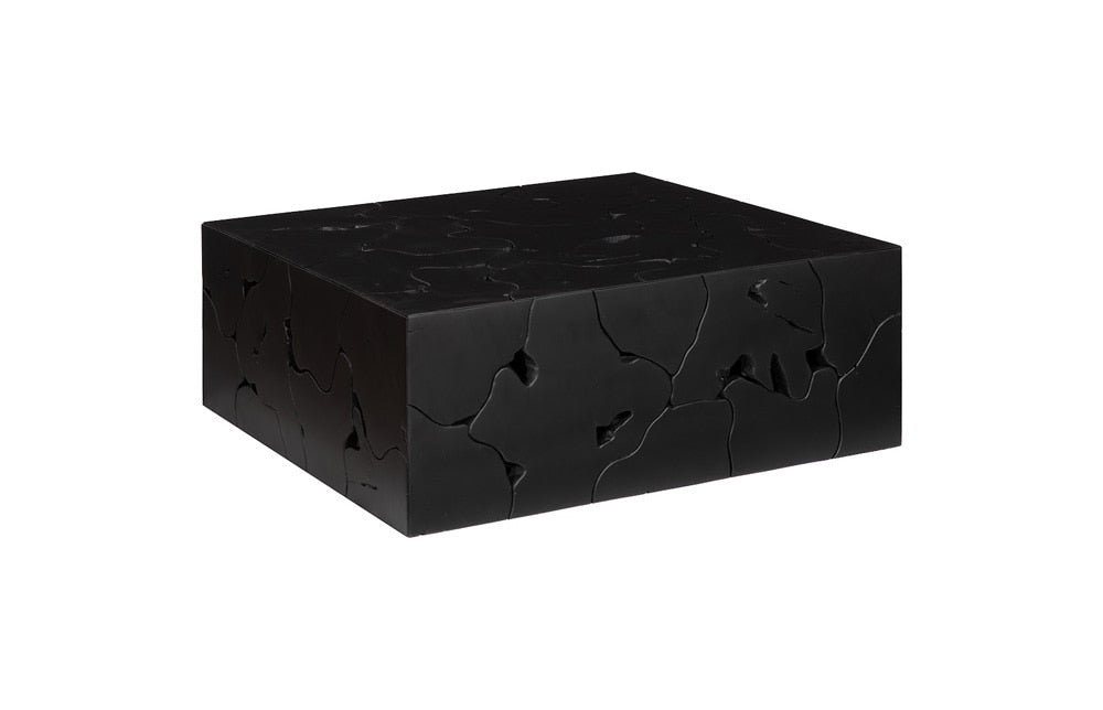 Phillips Collection - Teak Slice Coffee Table, Square, Black - ID112145 veiw 1
