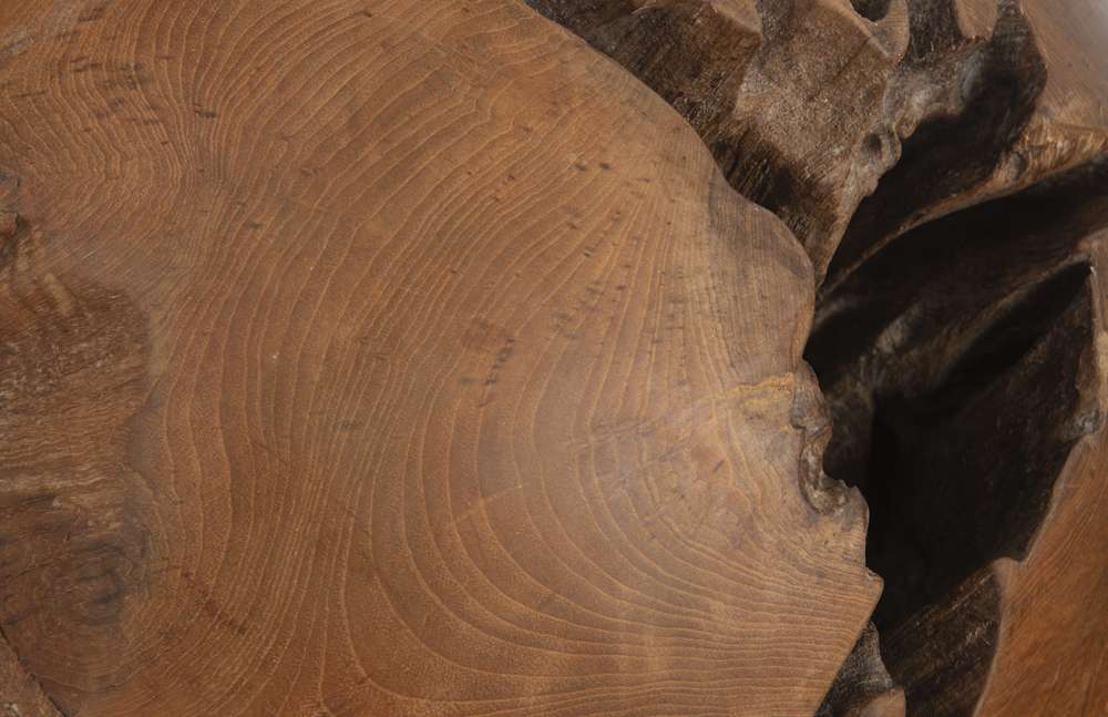 Phillips Collection - Teak Wood Ball, Medium - ID53977 veiw 4