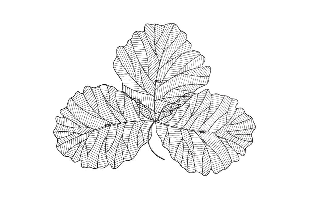 Phillips Collection - Tri Leaf Wall Art, Medium, Metal, Silver/Black - TH100856 view 4