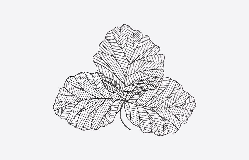 Phillips Collection - Tri Leaf Wall Art, Small, Metal, Silver/Black - TH100855 view 4
