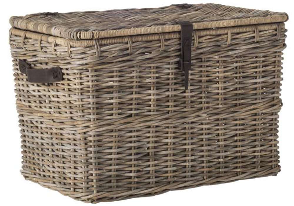 Safavieh - Amancio Trunk - Grey - SEA7021A veiw 2