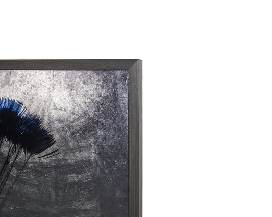 Sunpan - The Peacock - 48in X 72in - Charcoal Frame - A0262 view 2