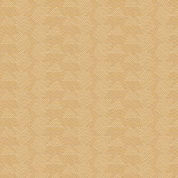 Tommy Bahama Home - Island Fusion Coles Bay Side chair in Gold Geometric Fabric - 556-884-01 veiw 5