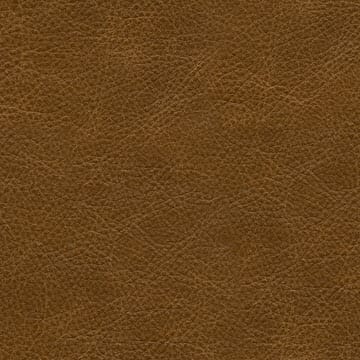 Tommy Bahama Home - Los Altos Marion Leather Chair - LL1989-11-40 veiw 4