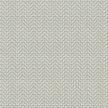 Tommy Bahama Home - Twin Palms Summer Isle Upholstered Side Chair - 558-882-01 veiw 4