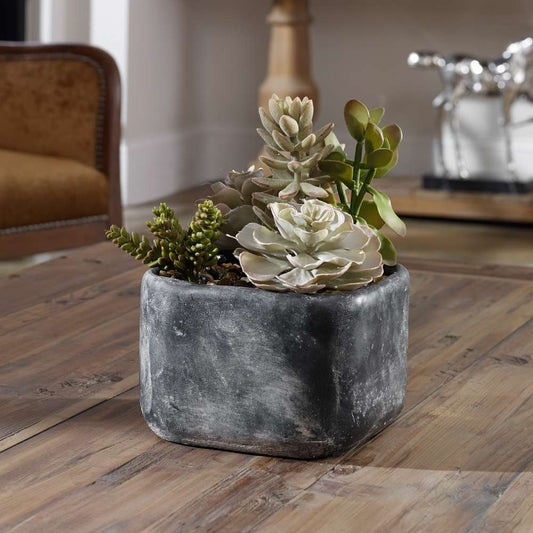 Uttermost - Alverio Desert Garden Succulents - 60173 veiw 2