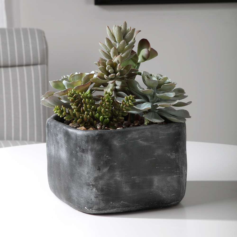 Uttermost - Alverio Desert Garden Succulents - 60173 veiw 4