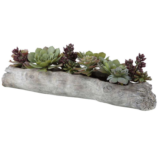 Uttermost - Charita Lush Succulents - 60174 veiw 2