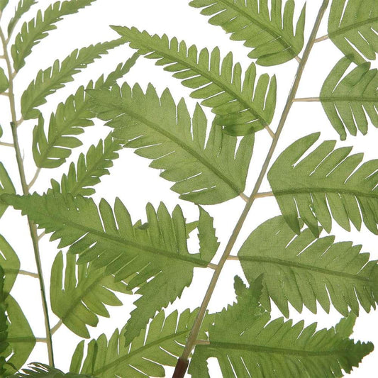 Uttermost - Country Ferns (Set of 2) - 60202 veiw 2