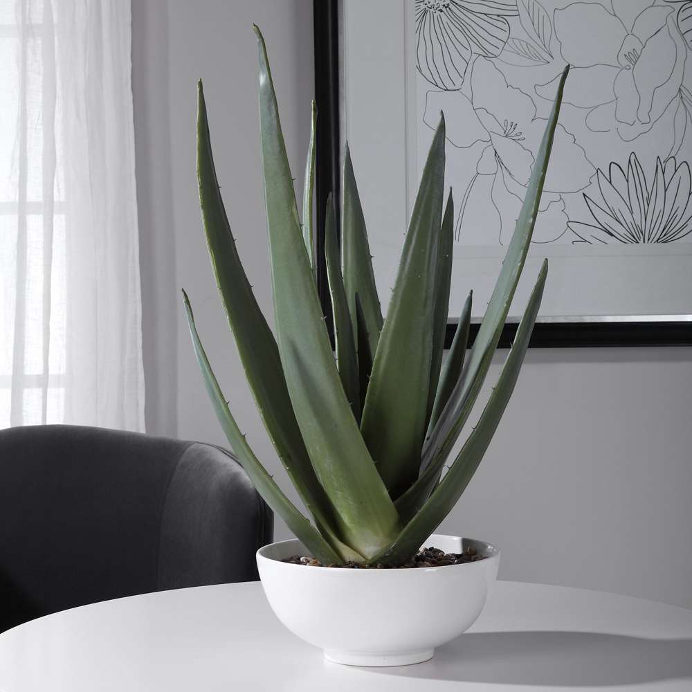 Uttermost - Evarado Aloe Planter - 60177 veiw 3