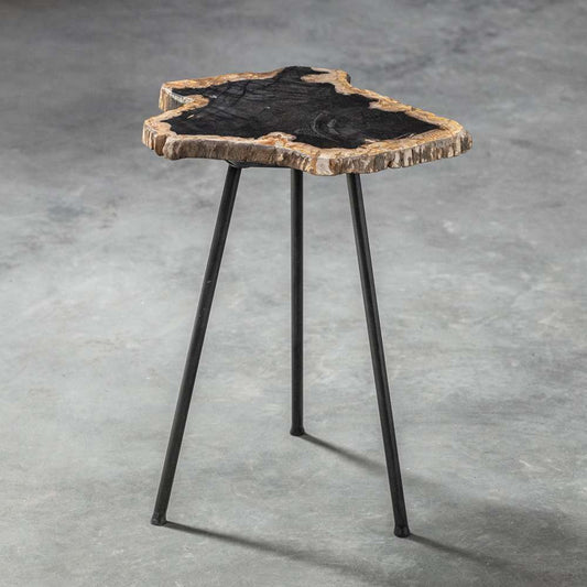 Uttermost - Mircea Petrified Wood Accent Table - 25461 veiw 2