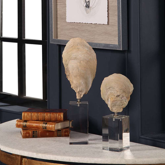 Uttermost - Oyster Shell Sculptures (Set of 2) - 17523 veiw 2