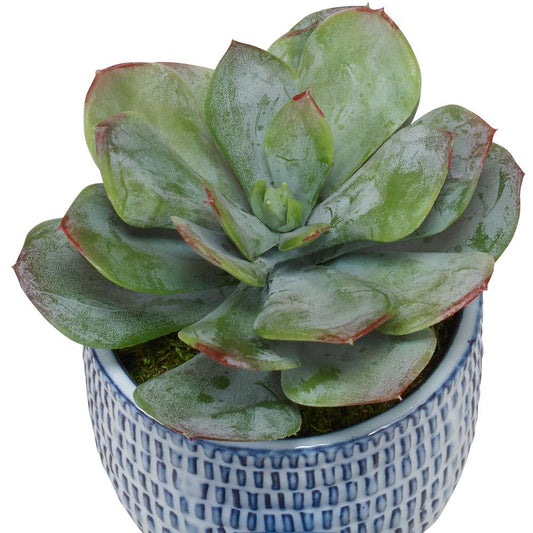 Uttermost - Puebla Greenery In Blue & White Pots (Set of 3) - 60192 veiw 2