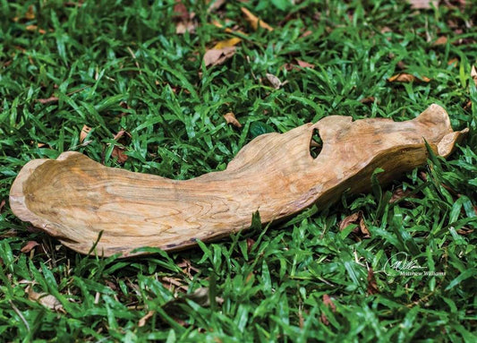 Uttermost - Teak Leaf Bowl - 17085 veiw 2