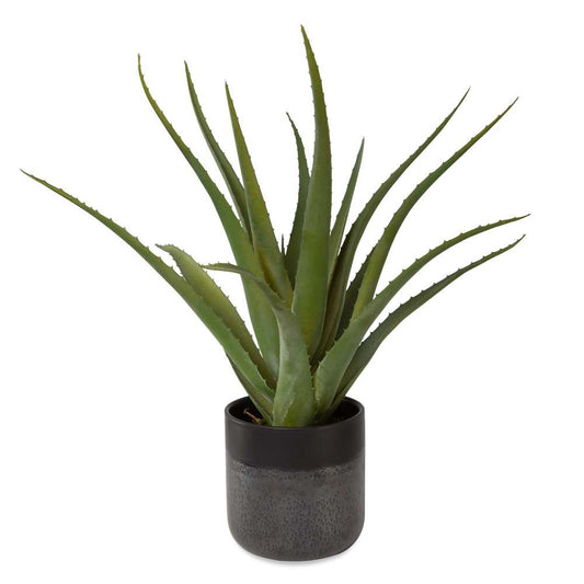 Uttermost - Tucson Aloe Planter - 60204 veiw 2