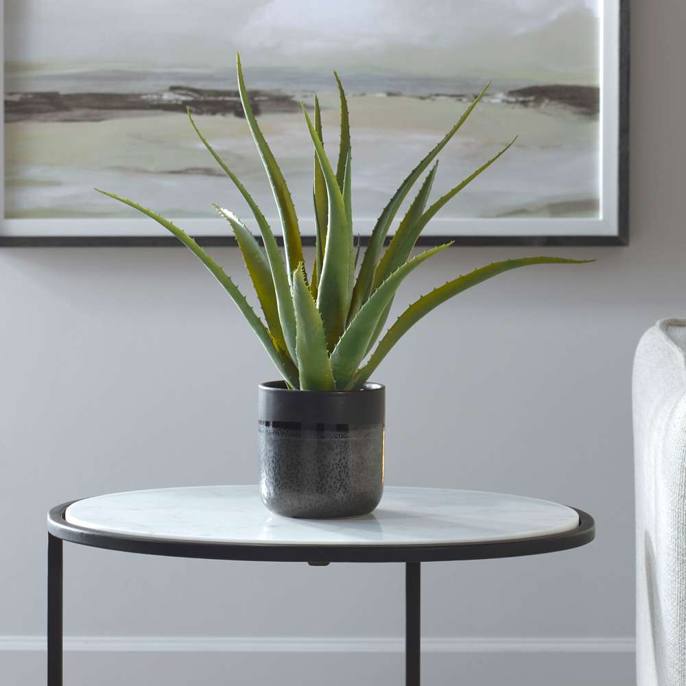 Uttermost - Tucson Aloe Planter - 60204 veiw 3