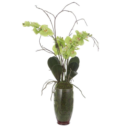 Uttermost - Valdive Orchid - 60199 veiw 2