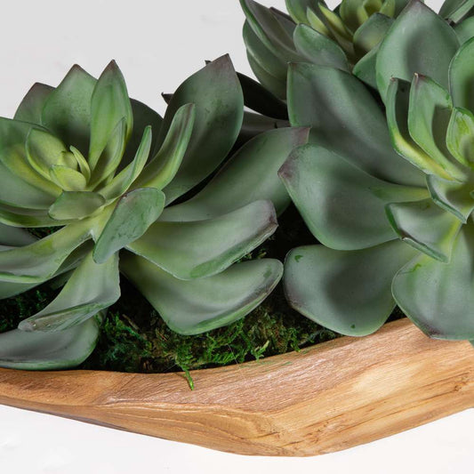 Uttermost - Yuma Succulent Centerpiece - 60205 veiw 2
