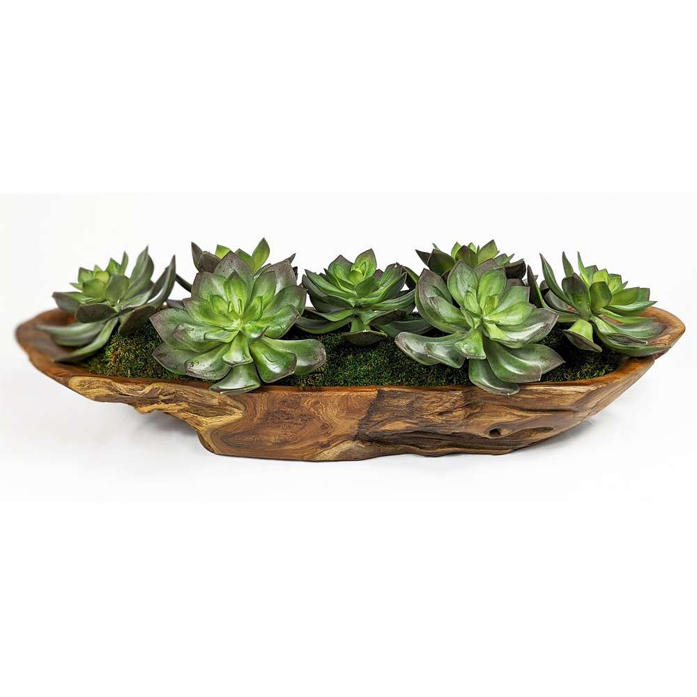 Uttermost - Yuma Succulent Centerpiece - 60205 veiw 3