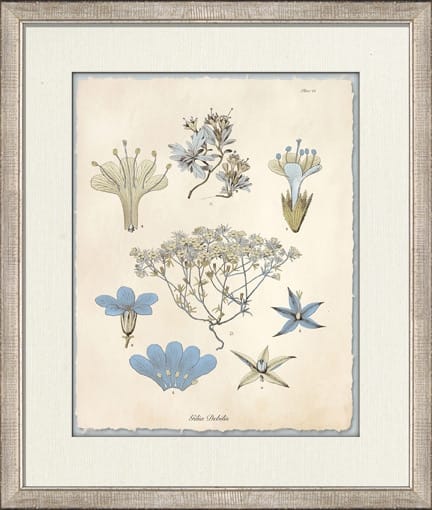Wendover Art Group - Blue Blossoms 2, Distressed Silver Leaf - WD22256 veiw 1