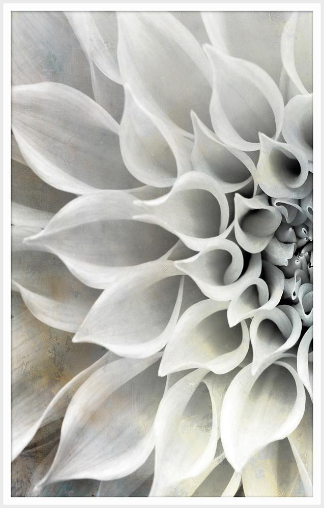 Wendover Art Group - Delicate Petals A, Matte White - WPH1632 veiw 1