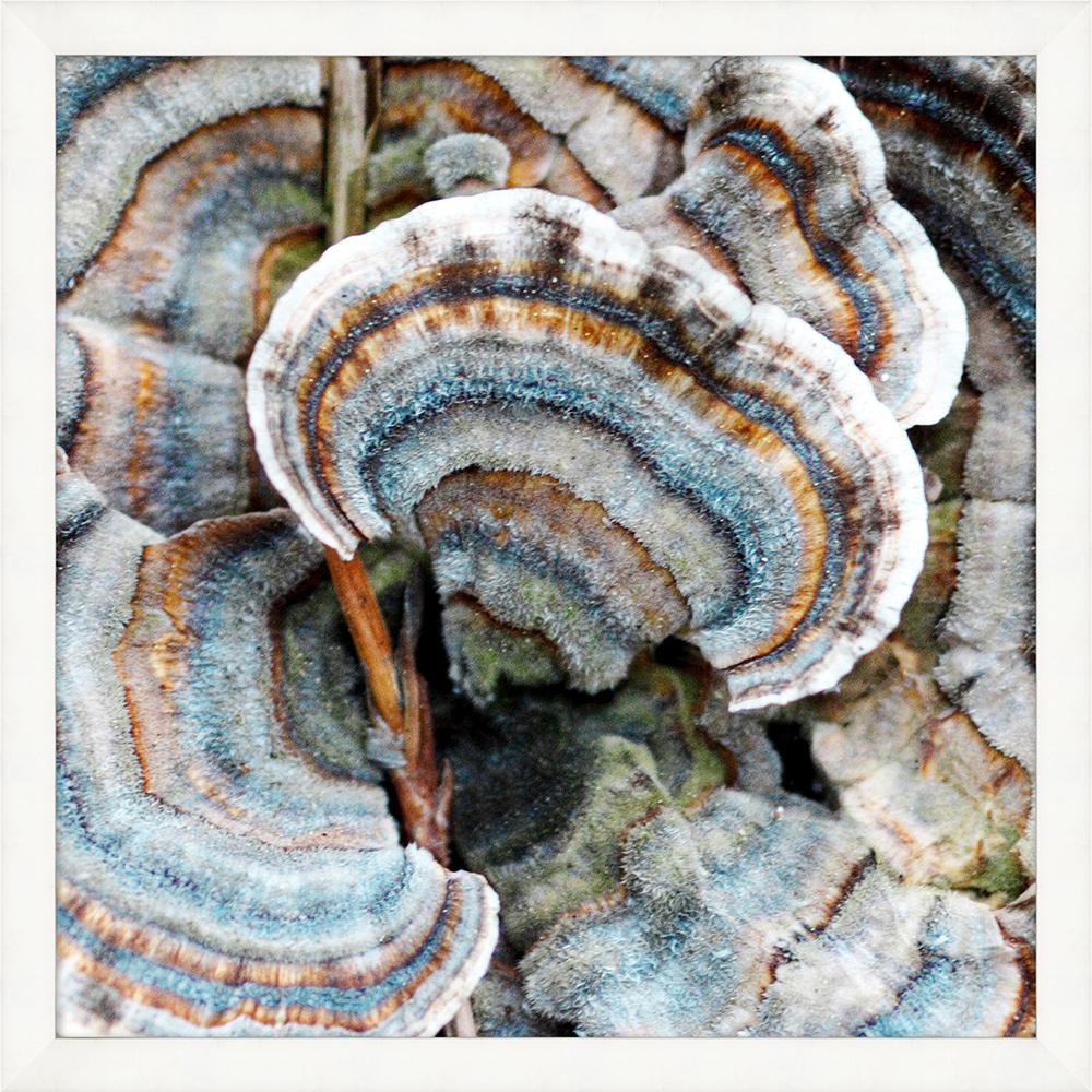 Wendover Art Group - Lillian August Champignon 2, White - WLA2011 veiw 1