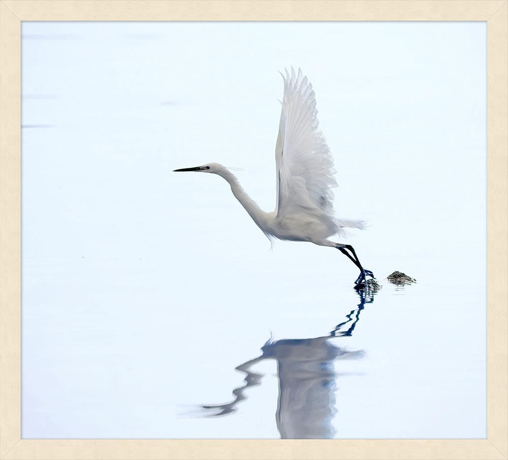 Wendover Art Group - Lillian August Coastal Morning 1, Pickled White - WLA1348