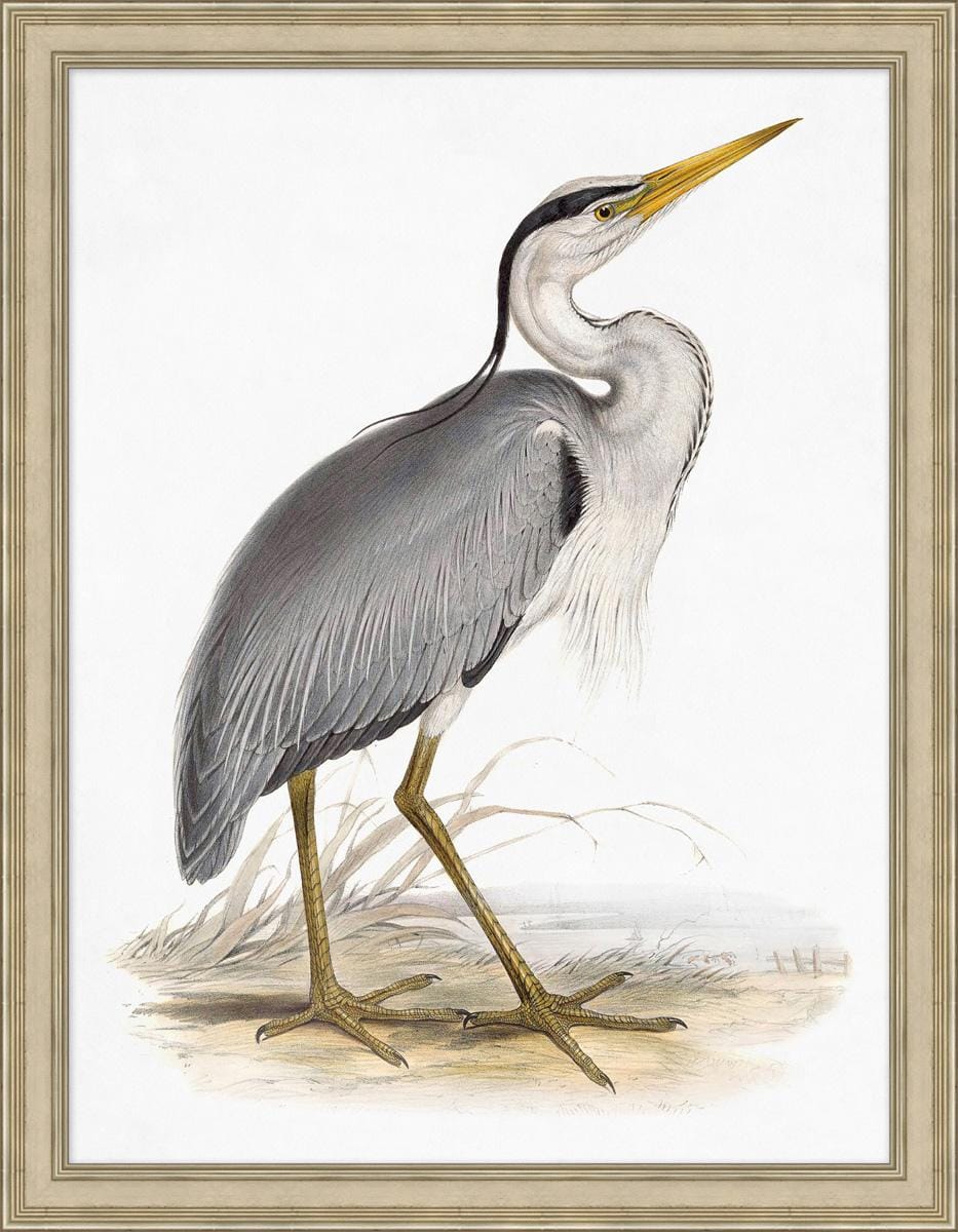 Wendover Art Group - Lillian August Coastal Ornithology 3, Silver Leaf - LA4087 veiw 1