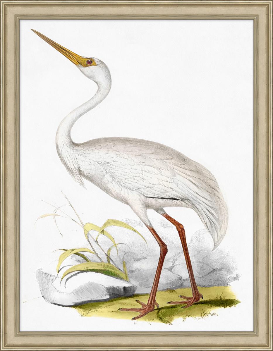 Wendover Art Group - Lillian August Coastal Ornithology 4, Silver Leaf - LA4088 veiw 1