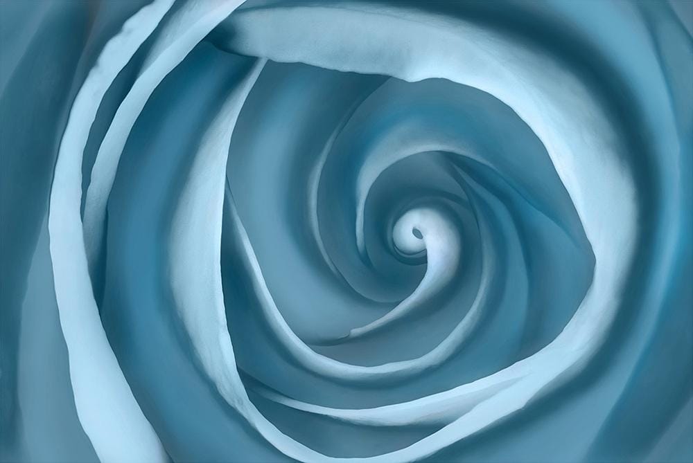 Wendover Art Group - Lillian August Swirling Petal, No Frame - WLA1673 veiw 1