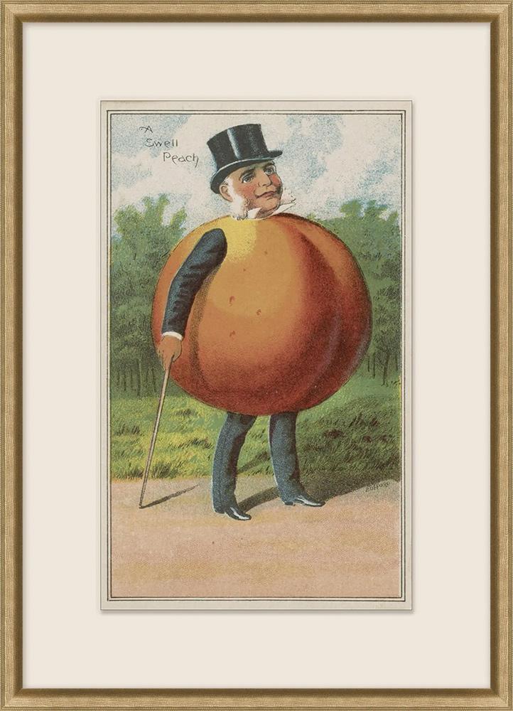 Wendover Art Group - Mr. Fruit 2 - WVT1806 veiw 1