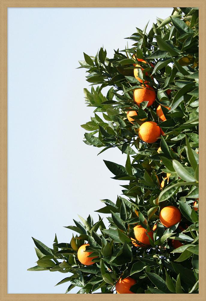 Wendover Art Group - Nathan Turner Orange Tree 1, Natural Woodgrain - WTUR0048 veiw 1